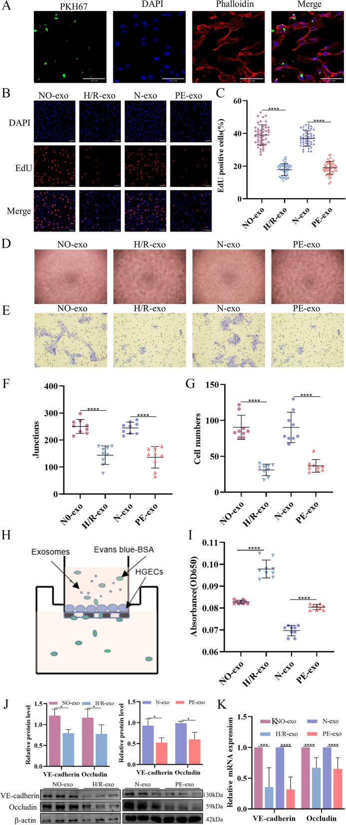 https://cdn.ncbi.nlm.nih.gov/pmc/blobs/cba5/10666440/4b596f5192ad/12964_2023_1286_Fig2_HTML.jpg