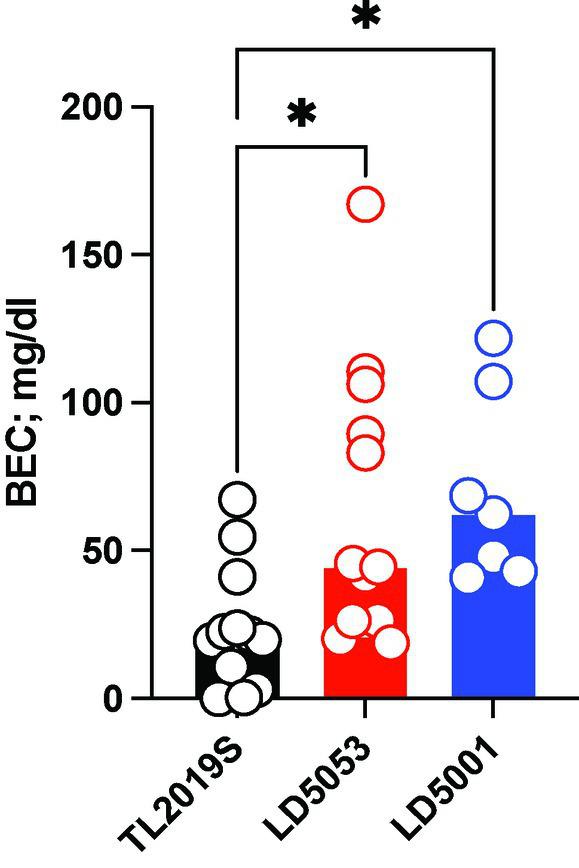 https://cdn.ncbi.nlm.nih.gov/pmc/blobs/cba5/11129685/02ed81d43896/fnins-18-1383181-g004.jpg