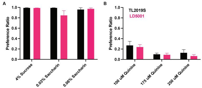 https://cdn.ncbi.nlm.nih.gov/pmc/blobs/cba5/11129685/9284d3ec146a/fnins-18-1383181-g005.jpg
