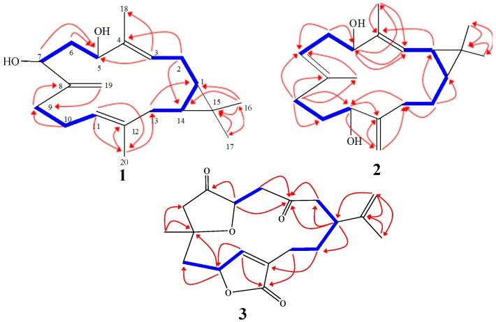 https://cdn.ncbi.nlm.nih.gov/pmc/blobs/cba6/6274415/709d7d86311c/molecules-21-00308-g003.jpg