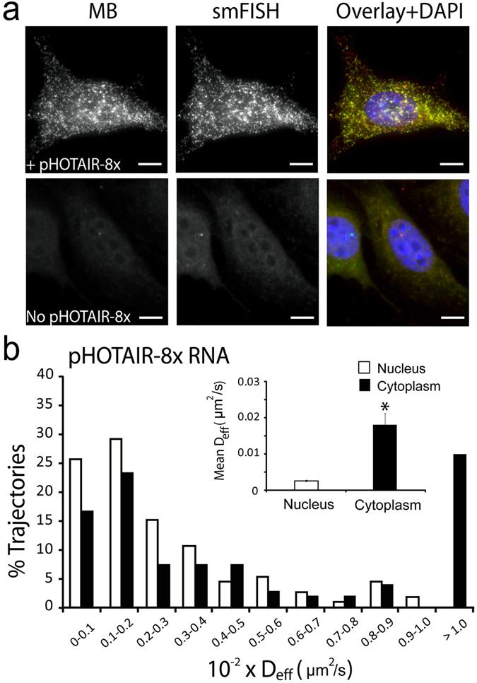 https://cdn.ncbi.nlm.nih.gov/pmc/blobs/cba7/5431543/e0a13e77dbfe/41598_2017_1740_Fig4_HTML.jpg