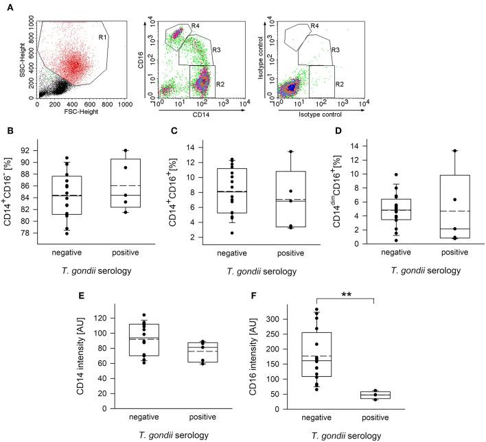 https://cdn.ncbi.nlm.nih.gov/pmc/blobs/cba7/6611340/43fbe5b21261/fcimb-09-00235-g0001.jpg