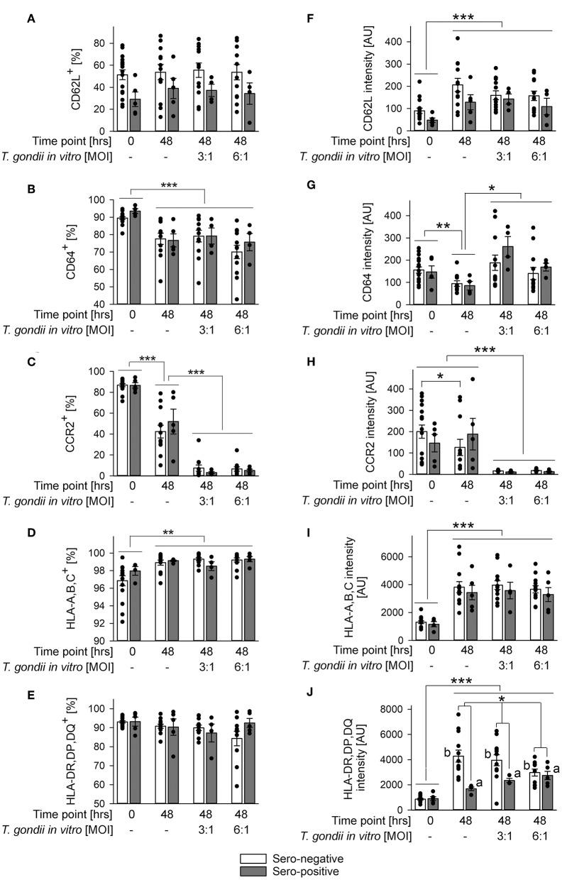 https://cdn.ncbi.nlm.nih.gov/pmc/blobs/cba7/6611340/ede52ac61ed6/fcimb-09-00235-g0004.jpg