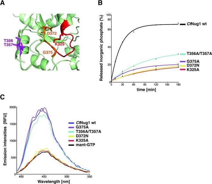 https://cdn.ncbi.nlm.nih.gov/pmc/blobs/cba9/4770245/516b6d1de4ce/gkw045fig3.jpg
