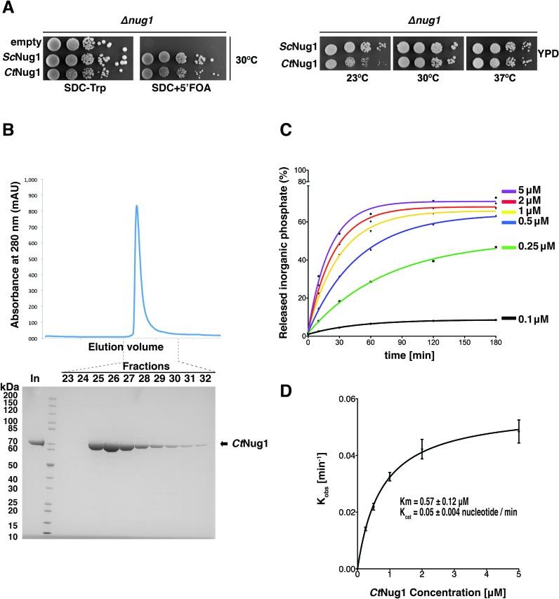 https://cdn.ncbi.nlm.nih.gov/pmc/blobs/cba9/4770245/da9b6cb78a2e/gkw045fig1.jpg