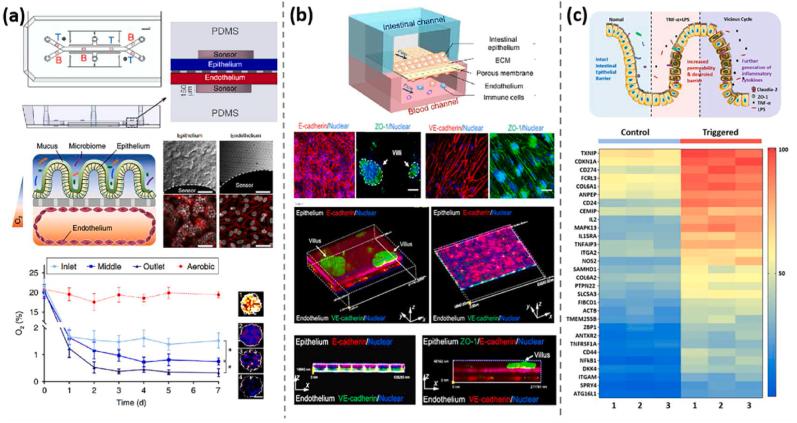 https://cdn.ncbi.nlm.nih.gov/pmc/blobs/cbab/11107260/a7d81014d159/gr5.jpg