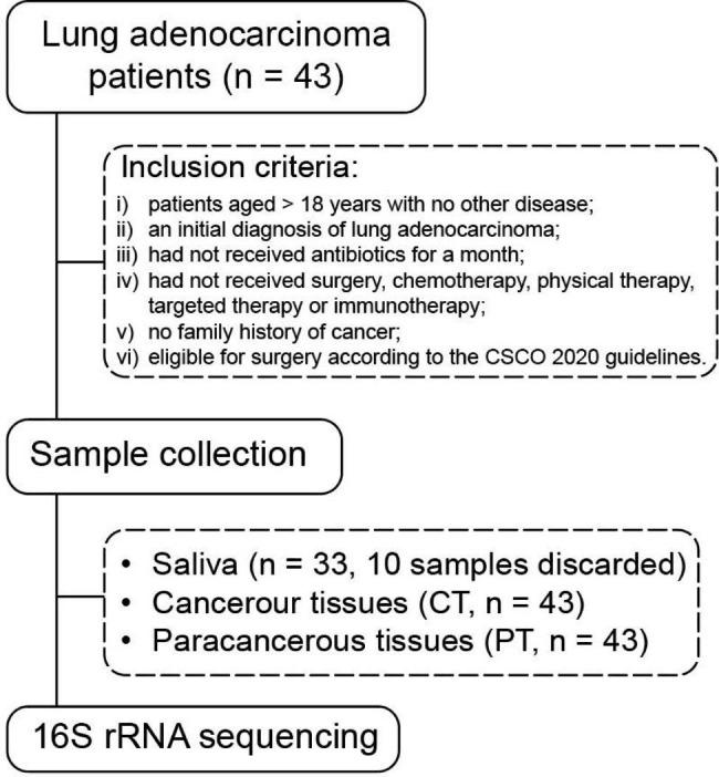 https://cdn.ncbi.nlm.nih.gov/pmc/blobs/cbac/10464170/63141b9bec39/12866_2023_2882_Fig1_HTML.jpg