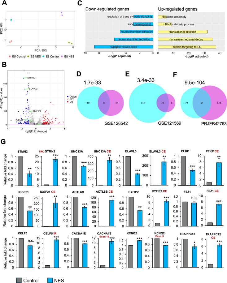 https://cdn.ncbi.nlm.nih.gov/pmc/blobs/cbac/12289307/379ca9ef7b9a/elife-95062-fig2.jpg