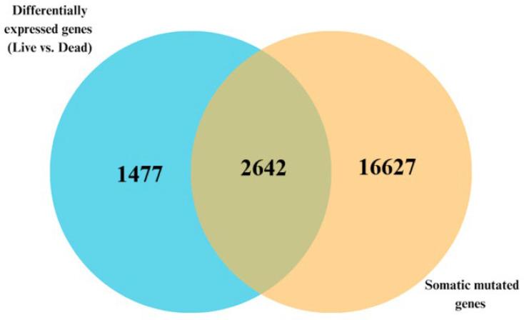 https://cdn.ncbi.nlm.nih.gov/pmc/blobs/cbac/12292145/8591f1146081/biomedicines-13-01651-g006.jpg