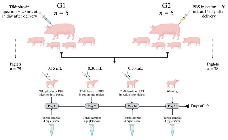 https://cdn.ncbi.nlm.nih.gov/pmc/blobs/cbad/10740920/373856550bfc/antibiotics-12-01658-g006.jpg