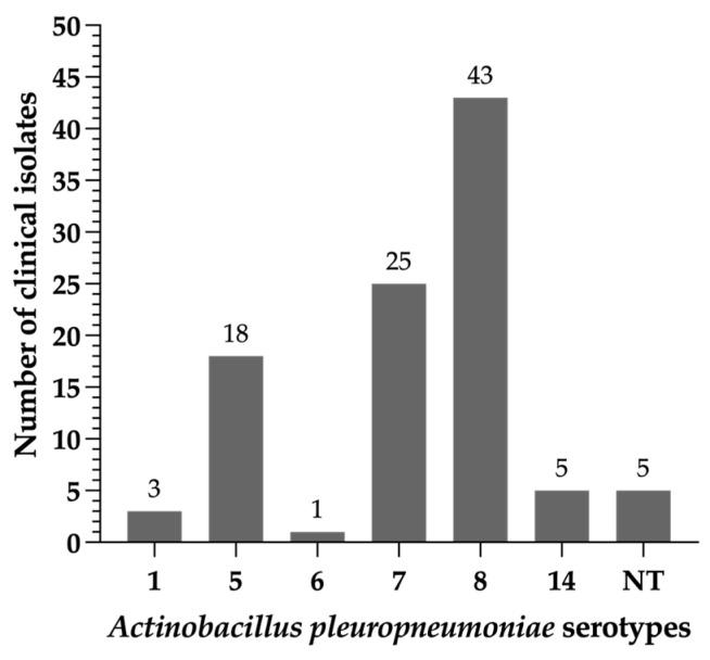 https://cdn.ncbi.nlm.nih.gov/pmc/blobs/cbad/10740920/9891c6c159db/antibiotics-12-01658-g001.jpg