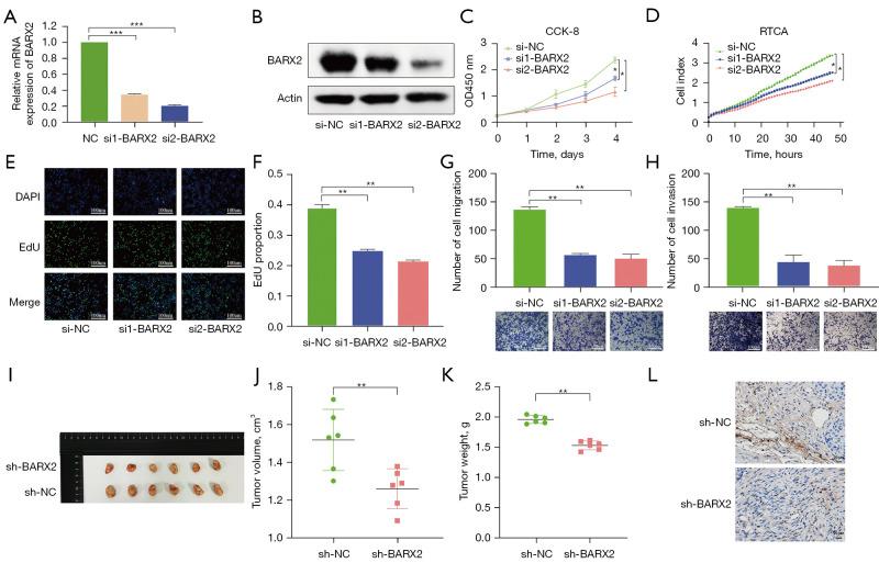 https://cdn.ncbi.nlm.nih.gov/pmc/blobs/cbb2/9359959/230b64a394e1/tlcr-11-07-1405-f2.jpg