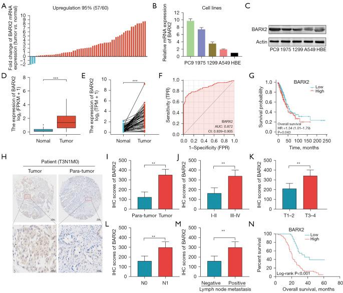 https://cdn.ncbi.nlm.nih.gov/pmc/blobs/cbb2/9359959/772fc0fbabf1/tlcr-11-07-1405-f1.jpg