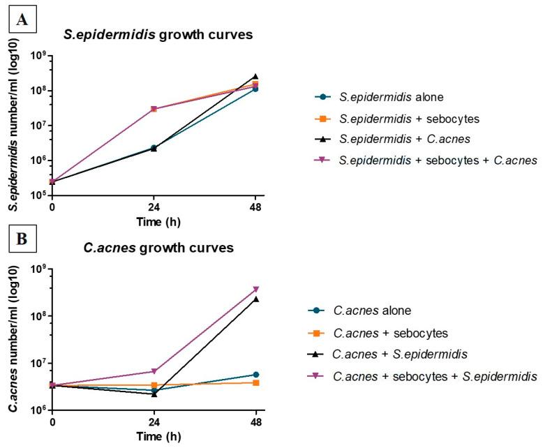 https://cdn.ncbi.nlm.nih.gov/pmc/blobs/cbb5/10537848/59dd9530d43c/microorganisms-11-02183-g002.jpg