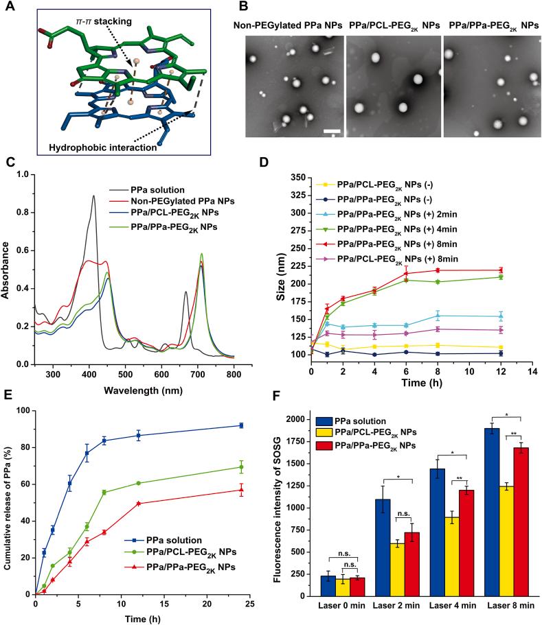 https://cdn.ncbi.nlm.nih.gov/pmc/blobs/cbb7/8642600/4c22cd4fe978/gr2.jpg