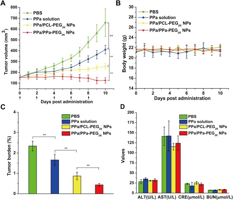 https://cdn.ncbi.nlm.nih.gov/pmc/blobs/cbb7/8642600/87577ee8cfc2/gr7.jpg