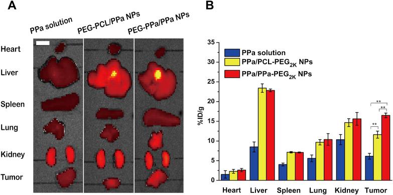 https://cdn.ncbi.nlm.nih.gov/pmc/blobs/cbb7/8642600/a862b256c9f1/gr6.jpg