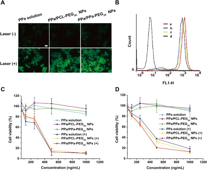 https://cdn.ncbi.nlm.nih.gov/pmc/blobs/cbb7/8642600/bffedc59ad00/gr4.jpg