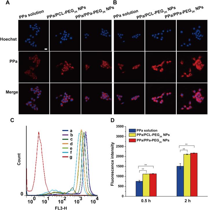 https://cdn.ncbi.nlm.nih.gov/pmc/blobs/cbb7/8642600/d0e166bc7699/gr3.jpg