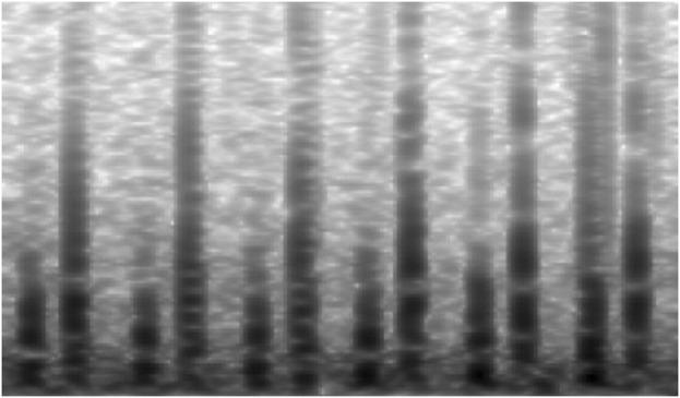 https://cdn.ncbi.nlm.nih.gov/pmc/blobs/cbb8/12176565/3c97bc4f3457/fphys-16-1596150-g004.jpg