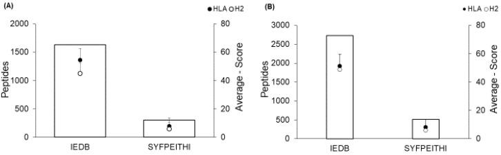 https://cdn.ncbi.nlm.nih.gov/pmc/blobs/cbba/10054446/1050ec1ce43f/ijms-24-05972-g001.jpg