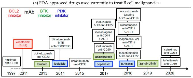 https://cdn.ncbi.nlm.nih.gov/pmc/blobs/cbba/9775488/41eef859c309/cancers-14-06026-g002a.jpg