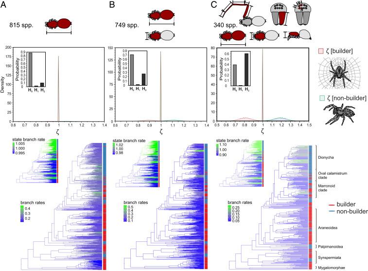 https://cdn.ncbi.nlm.nih.gov/pmc/blobs/cbbb/8379907/2efcbf65f5c2/pnas.2102693118fig01.jpg