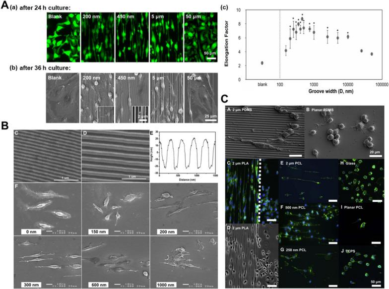 https://cdn.ncbi.nlm.nih.gov/pmc/blobs/cbbc/9719660/8f7decbd8248/12951_2022_1721_Fig3_HTML.jpg