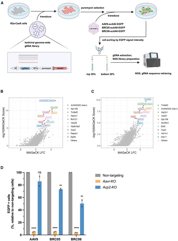 https://cdn.ncbi.nlm.nih.gov/pmc/blobs/cbbd/12272419/bef91269defd/gr6.jpg