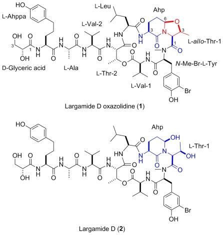 https://cdn.ncbi.nlm.nih.gov/pmc/blobs/cbbe/2901826/57c66377b31c/marinedrugs-08-01803f1.jpg