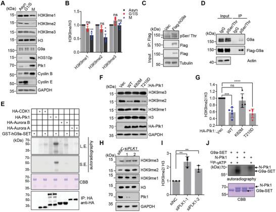 https://cdn.ncbi.nlm.nih.gov/pmc/blobs/cbbf/10602519/fc6c54ff4df7/ADVS-10-2303224-g001.jpg