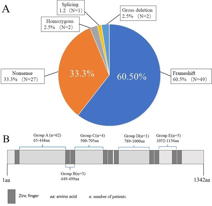 https://cdn.ncbi.nlm.nih.gov/pmc/blobs/cbc0/10466882/9b3a7aa1f0ce/13023_2023_2874_Fig6_HTML.jpg