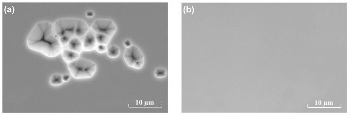 https://cdn.ncbi.nlm.nih.gov/pmc/blobs/cbc0/7697943/5687d5fb6ba4/materials-13-05118-g002.jpg
