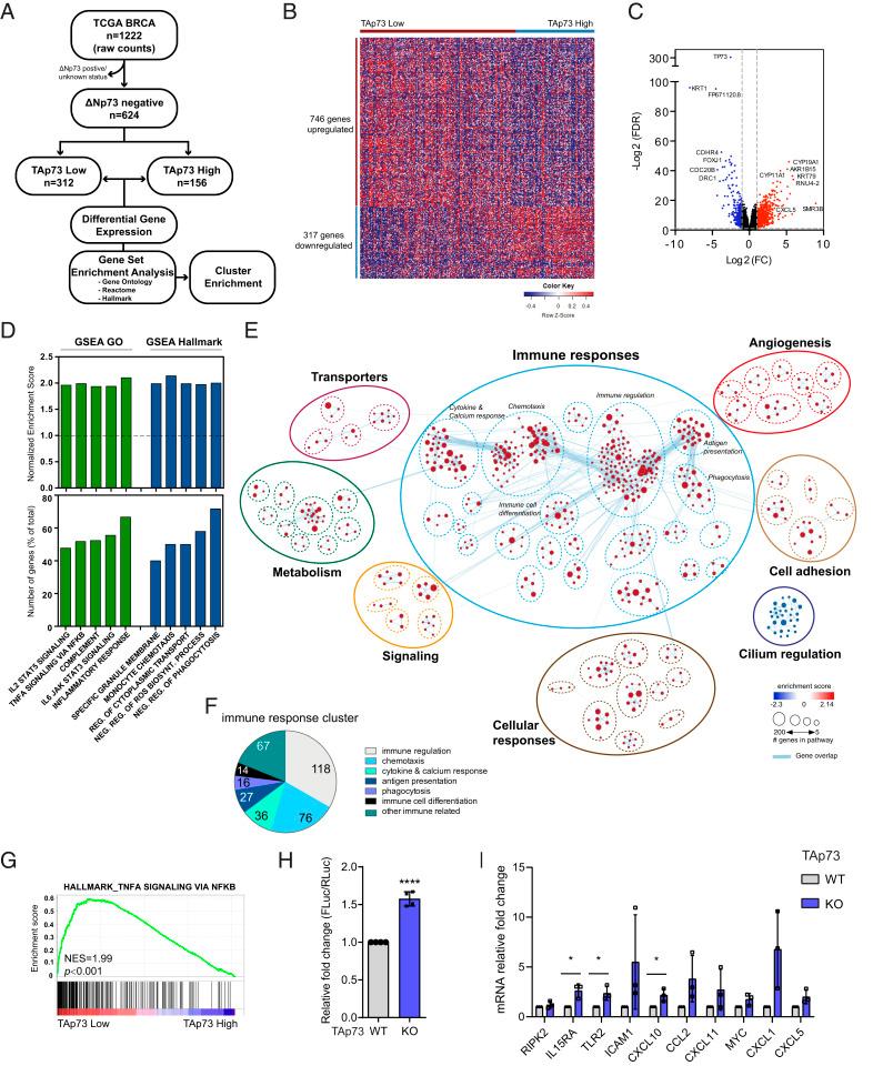 https://cdn.ncbi.nlm.nih.gov/pmc/blobs/cbc0/7958209/8db7d6431107/pnas.2017089118fig01.jpg