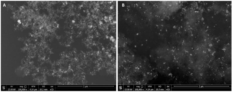 https://cdn.ncbi.nlm.nih.gov/pmc/blobs/cbc1/10707795/ef17d18fcc96/molecules-28-07921-g001.jpg