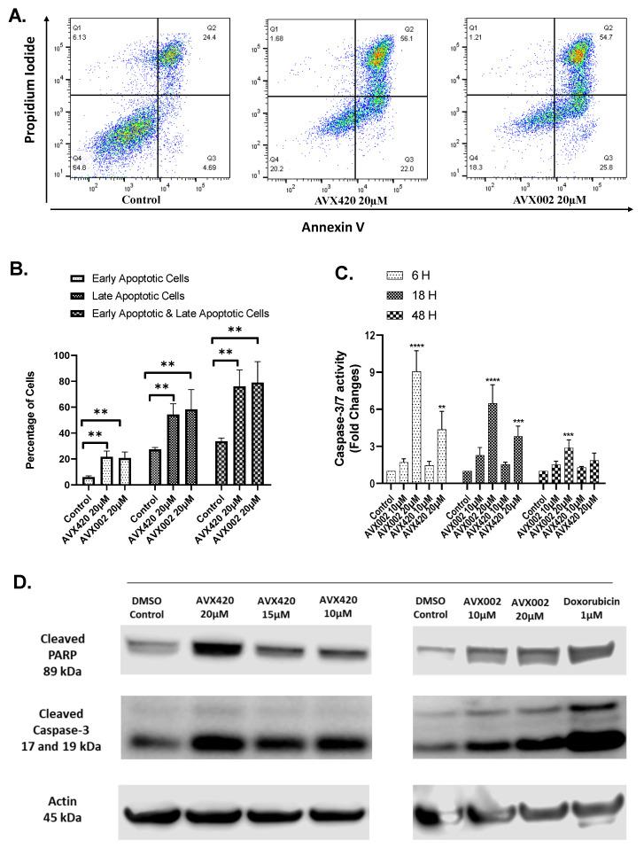 https://cdn.ncbi.nlm.nih.gov/pmc/blobs/cbc4/8705991/9f29489ab9e9/molecules-26-07447-g005.jpg