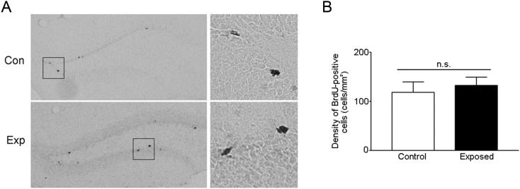 https://cdn.ncbi.nlm.nih.gov/pmc/blobs/cbc6/4776265/89403a643f42/gr3.jpg