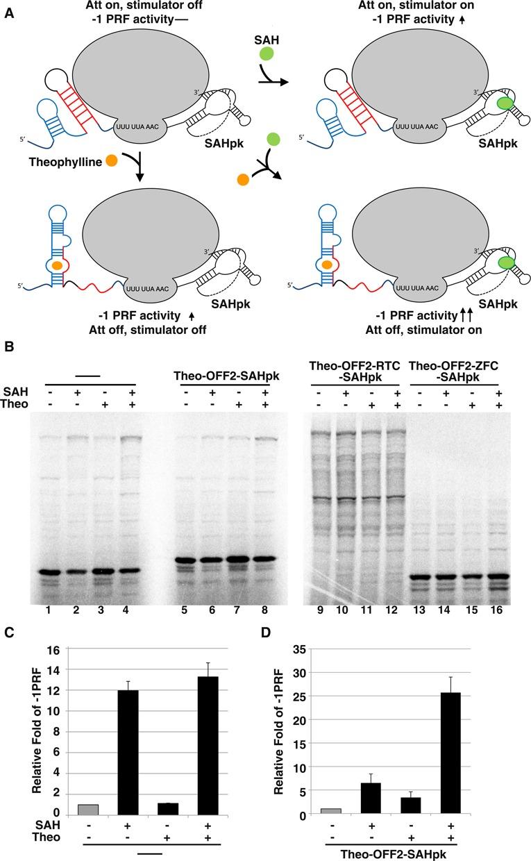 https://cdn.ncbi.nlm.nih.gov/pmc/blobs/cbc8/4267651/f30fb7491206/gku1233fig7.jpg