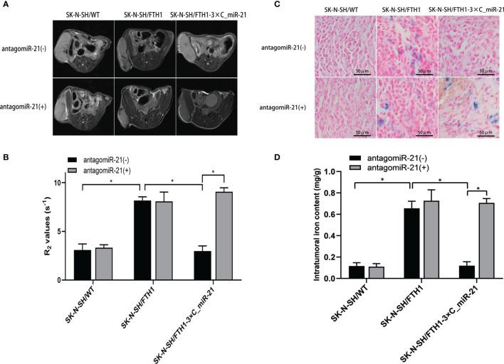 https://cdn.ncbi.nlm.nih.gov/pmc/blobs/cbc9/8602822/feebf0a2c796/fonc-11-747305-g006.jpg