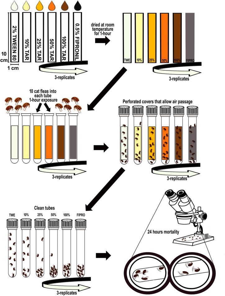 https://cdn.ncbi.nlm.nih.gov/pmc/blobs/cbcc/11564055/2e21deb680e1/gr1.jpg