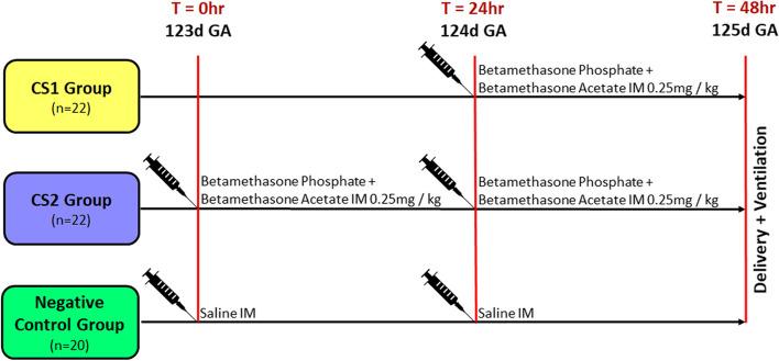 https://cdn.ncbi.nlm.nih.gov/pmc/blobs/cbcc/11792249/b37508bbb602/12916_2025_3910_Fig1_HTML.jpg