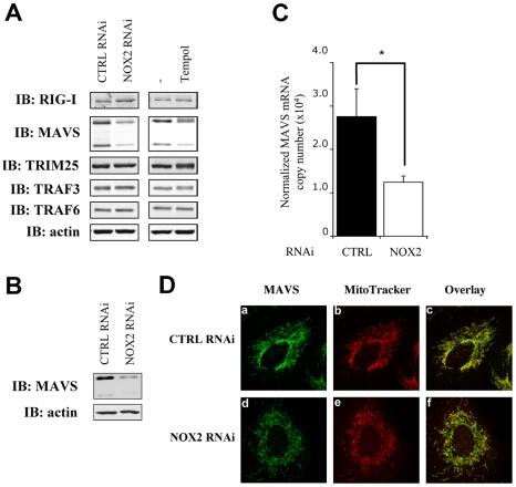 https://cdn.ncbi.nlm.nih.gov/pmc/blobs/cbcc/2880583/55f9f28e9087/ppat.1000930.g008.jpg