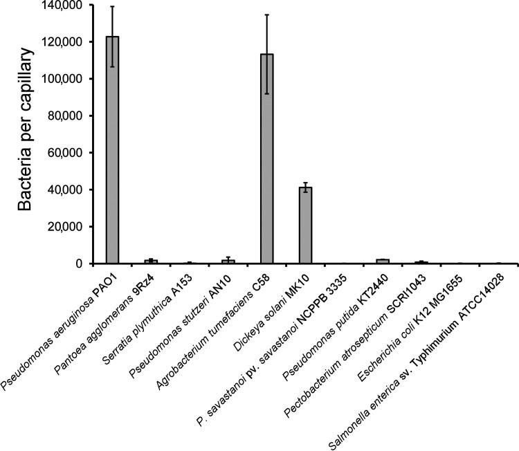 https://cdn.ncbi.nlm.nih.gov/pmc/blobs/cbcd/9040839/64c53e41fdf5/mbio.03458-21-f007.jpg