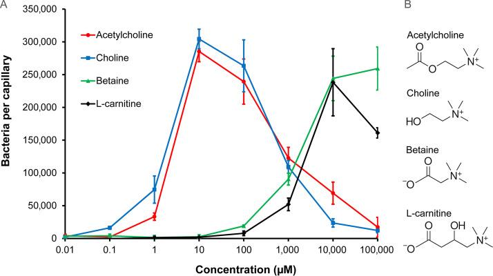 https://cdn.ncbi.nlm.nih.gov/pmc/blobs/cbcd/9040839/8594da7906a7/mbio.03458-21-f001.jpg