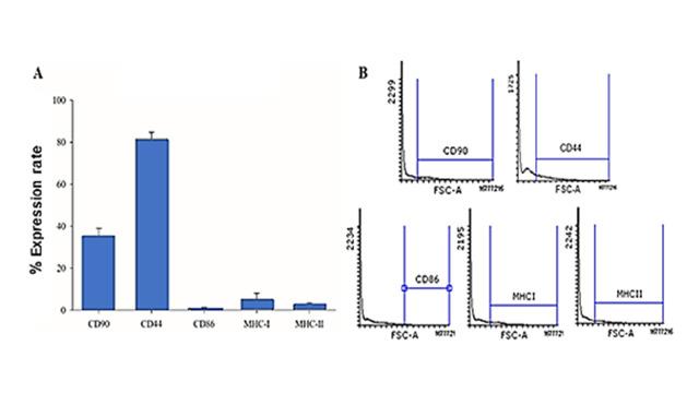 https://cdn.ncbi.nlm.nih.gov/pmc/blobs/cbce/10756151/c1883a907029/bjvm-45-e002523-g02.jpg