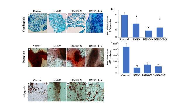 https://cdn.ncbi.nlm.nih.gov/pmc/blobs/cbce/10756151/fb7f968ddd32/bjvm-45-e002523-g05.jpg