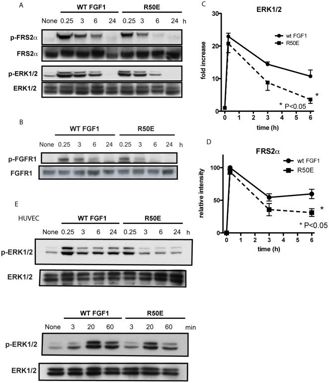 https://cdn.ncbi.nlm.nih.gov/pmc/blobs/cbce/2858075/e034e45d63d2/pone.0010273.g003.jpg