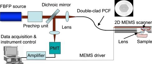 https://cdn.ncbi.nlm.nih.gov/pmc/blobs/cbcf/2887536/29576338328c/12015_2010_9130_Fig5_HTML.jpg