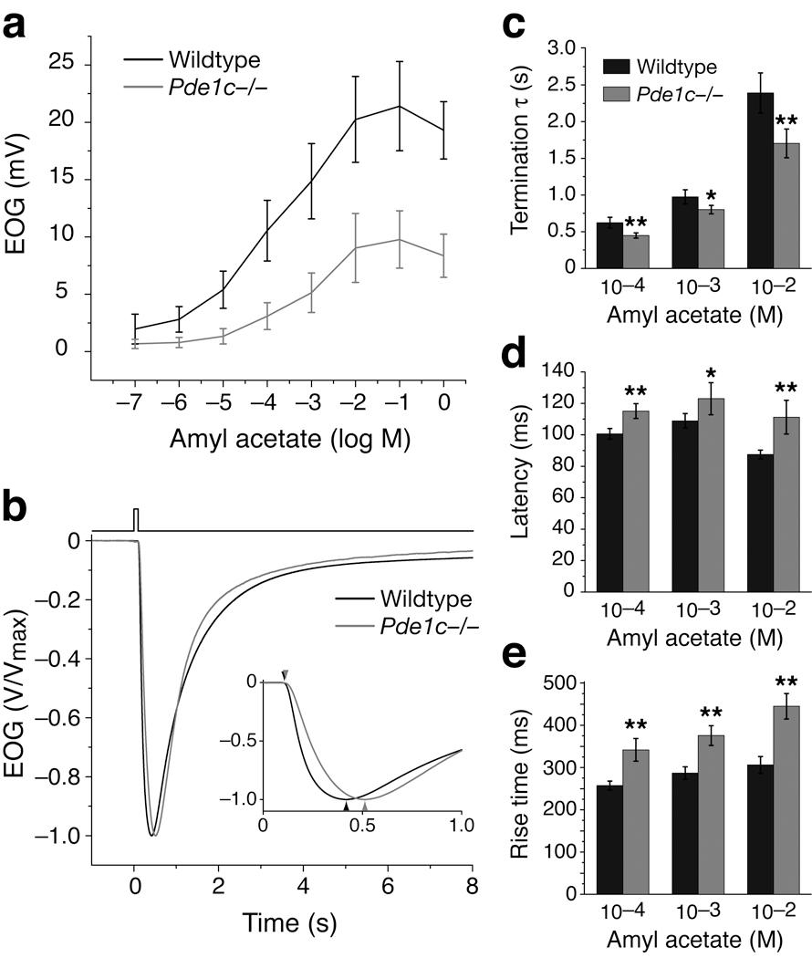 https://cdn.ncbi.nlm.nih.gov/pmc/blobs/cbd0/2712288/2ead60c5c563/nihms103134f2.jpg