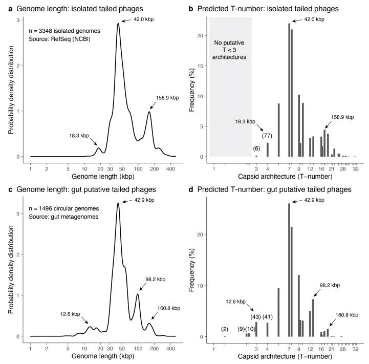https://cdn.ncbi.nlm.nih.gov/pmc/blobs/cbd1/7762592/b23c4709154f/microorganisms-08-01944-g005.jpg